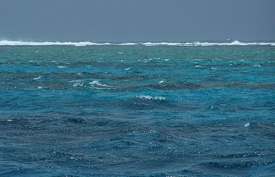 REPORT: Bagwah’s black marlin quest